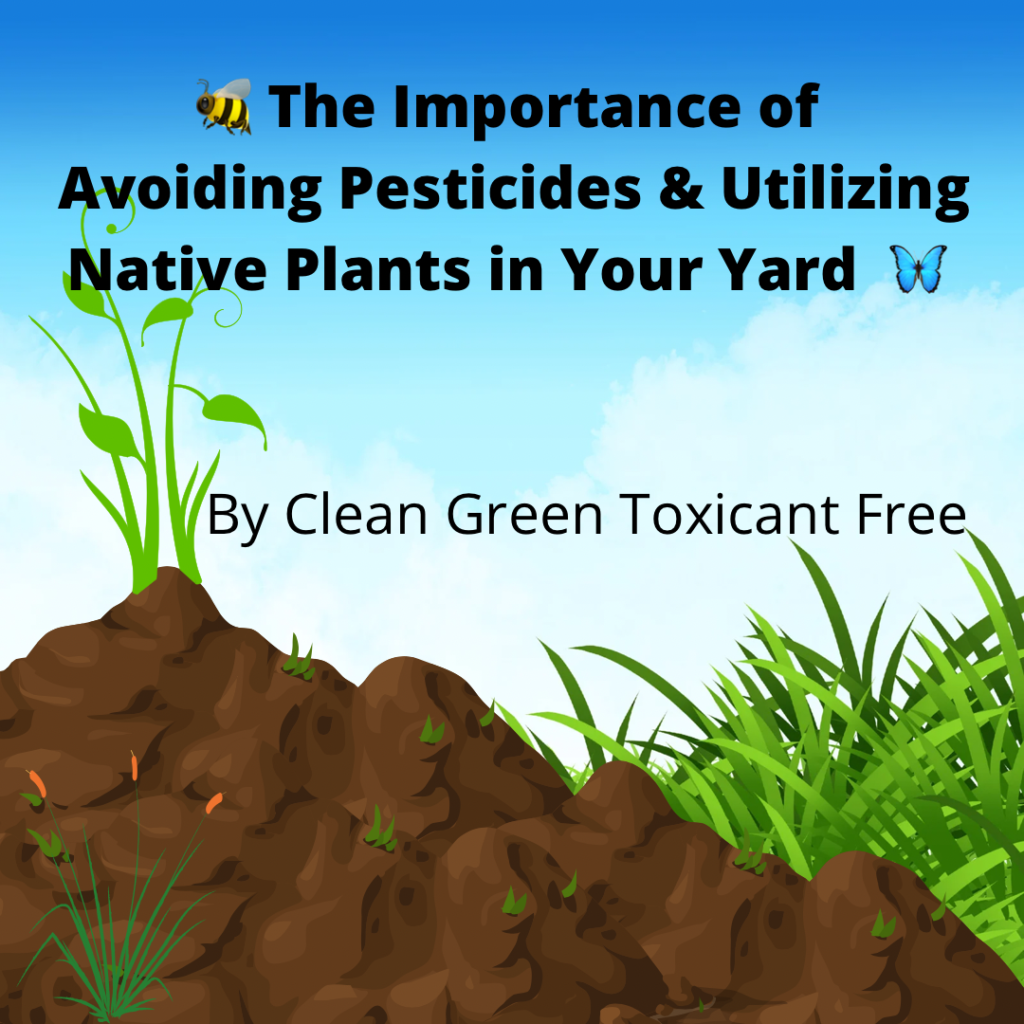 🐝 Avoiding Pesticides and Utilizing Native Plants in Your Yard 🦋