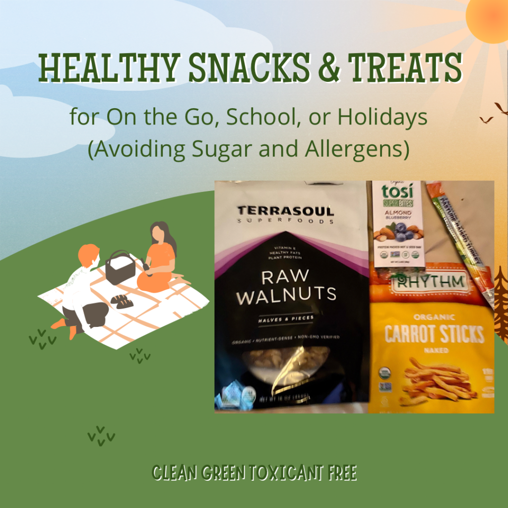 Healthy Snacks & Treats 🍬for On the Go, School, or Holidays (Avoiding Sugar and Allergens)