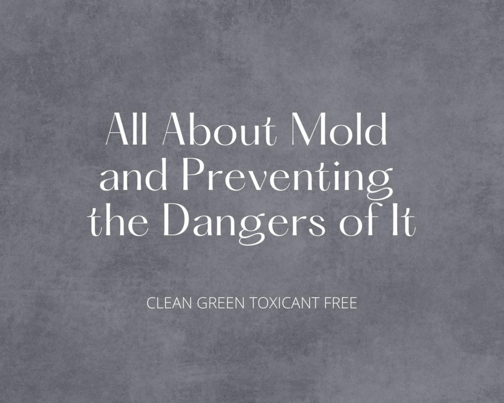 All About Mold and Preventing the Dangers of It