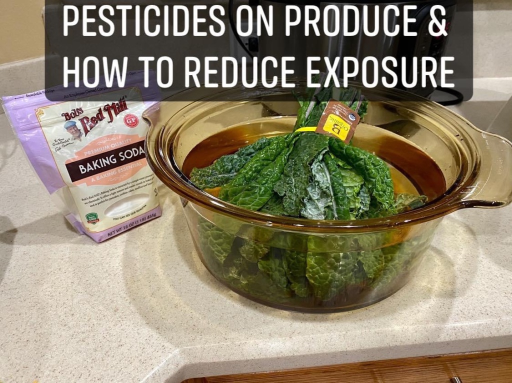 Pesticides on Produce 🍎 and How To Reduce Exposure
